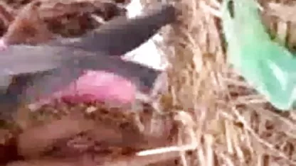 18 साल की जवान लड़की ने अपनी चूत दिखाने के लिए मना एक्स एक्स सेक्सी फिल्म लिया