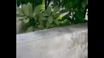 डोनाल्ड ट्रम्प भोजपुरी मूवी सेक्सी का नया राष्ट्रपति कारवां